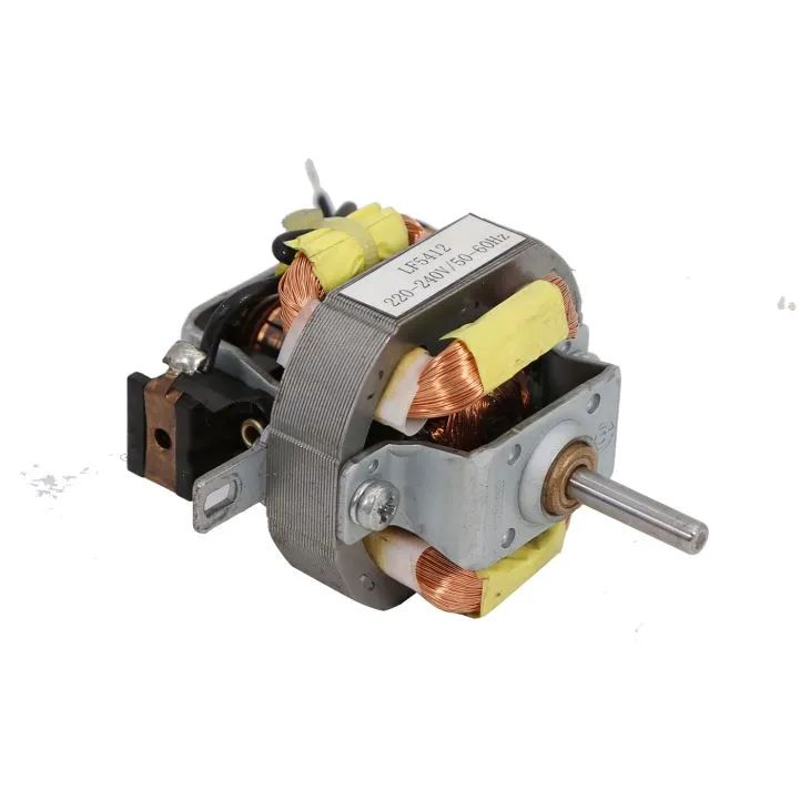 Single Phase AC Micro Motor
